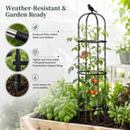 FOLLOOK Garden Obelisk Trellis for Climbing Plants Outdoor, 67", 1 Pack