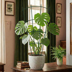 Thealyn 24" Metal Plant Trellis, Climbing Plant Support, 4 Pack (Green)