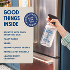 Aunt Fannie's Stainless Steel Spray Cleaner, Powered by Vinegar, Fingerprint and Residue Remover for Refrigerator, Dishwasher, Oven, Grill, Sink, Stovetop, and Other Appliances, Pack of 3