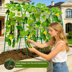 Cucumber Trellis for Raised Bed, U-Shape Garden Trellis 47.2" Tall, Heavy Duty Metal Arch Trellis for Climbing Vegetables, Rustproof Plant Support for Tomato Pea Bean (Upgraded Connector)