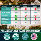 Secret Element Sea Moss Capsules with Burdock Root, Bladderwrack & Muira Puama – Plant-Based Sea Moss Supplement with Raw Powder – 120 Capsules
