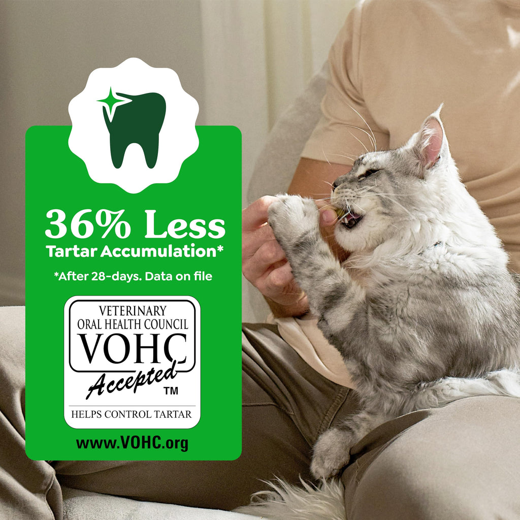 Greenies Feline Natural Dental Cat Treats, Roasted Chicken Flavor, 21 oz