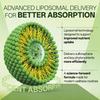 inGreens Liposomal Sulforaphane 500mg Supplement,4 Pack, 240 Capsules