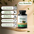 NaturalHerbo Pure Moringa Capsules - Pure Moringa Leaf Extract for Natural Energy, Digestion & Daily Wellness | Green Superfood Supplement | Vegan, Non-GMO, Gluten-Free | 120 Capsules (800mg)