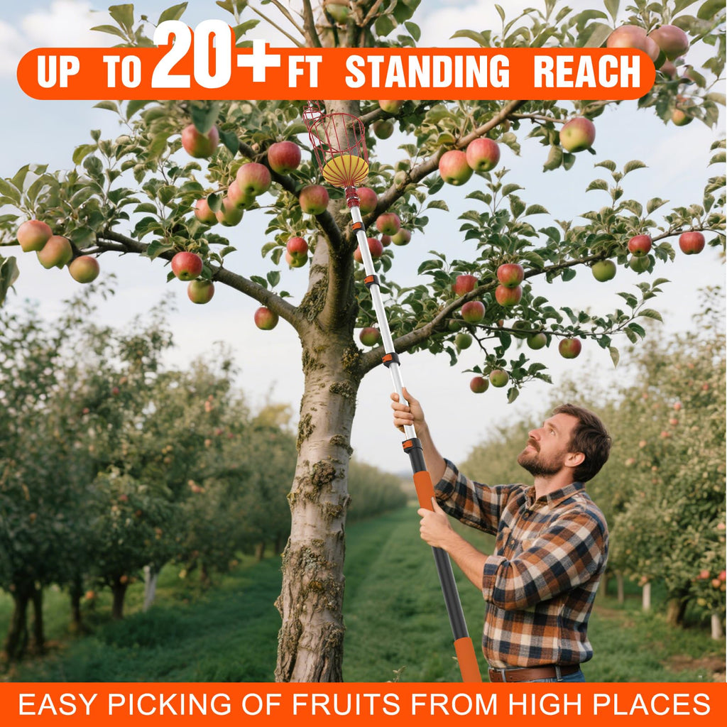 LAANPOLE 26FT Reach Fruit Picker Pole with Basket Telescoping, Apple Picker with 5-20FT Telescoping Pole for Apple Orange Lemon Mango Avocado Guava Fruit Picking