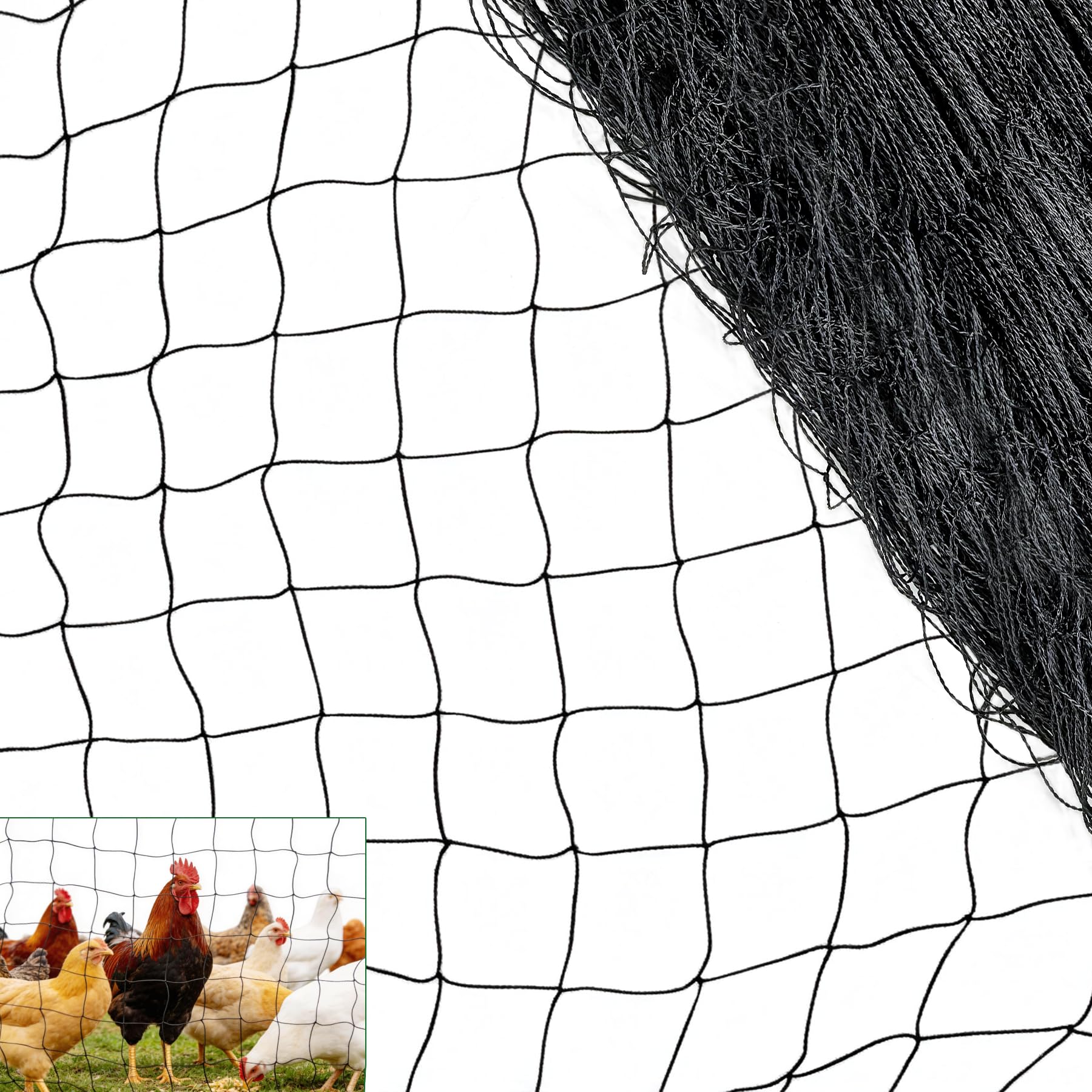 50 x 100 ft Bird Netting for Chicken coop 2.4" Mesh Poultry Netting, Protects Garden, Fruit Trees & Poultry from Birds & Small Animals