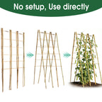 2 Pack 47''x18'' Bamboo Trellis for Climbing Plants Outdoor, Oltara A-Frame Foldable Garden Trellis for Cucumbers, Raised Beds, Tomatoes, Beans, Vegetables & Flowers Support