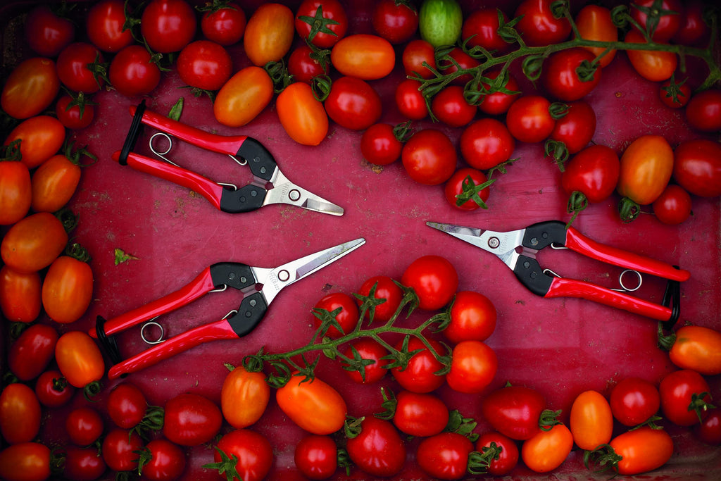 Felco F320 Pruning Snips – 6" Garden Clippers with Curved Blade & Rounded Tip | Pruning Shears for Gardening | Garden Snips and Pruners with Carbon Steel Blade, Sap Groove
