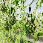 12 Pack Melon Hammock Watermelon Nets with S Hanging Hooks, Melon Cradle for Garden to Prevent Falling, Heavy Duty Watermelon Mesh Bag for Growing Cantaloupe Pumpkin in Vertical Garden (Black)