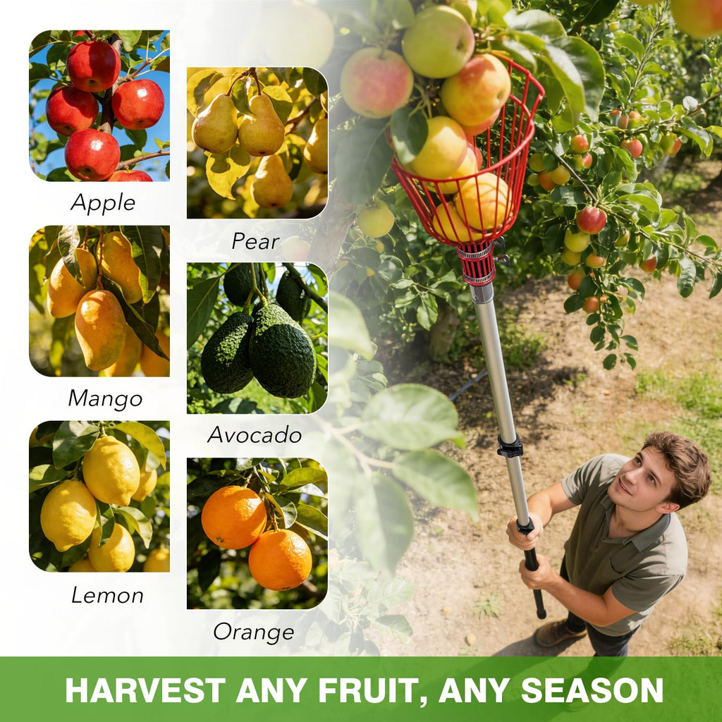 ARTIPOLY 20FT Reach Telescoping Fruit Picker, 4-12FT Adjustable Aluminum Pole with Basket, Lightweight Heavy Duty Tool for Harvesting Apples Mangoes Avocados Pears Lemons