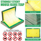 48 Pack Mouse Glue Traps Large Size Mouse Traps Sticky Pad with Enhanced Stickiness Pest Rat Sticky Traps Board for Rodent Cockroach and Other Insects House Indoor Outdoor