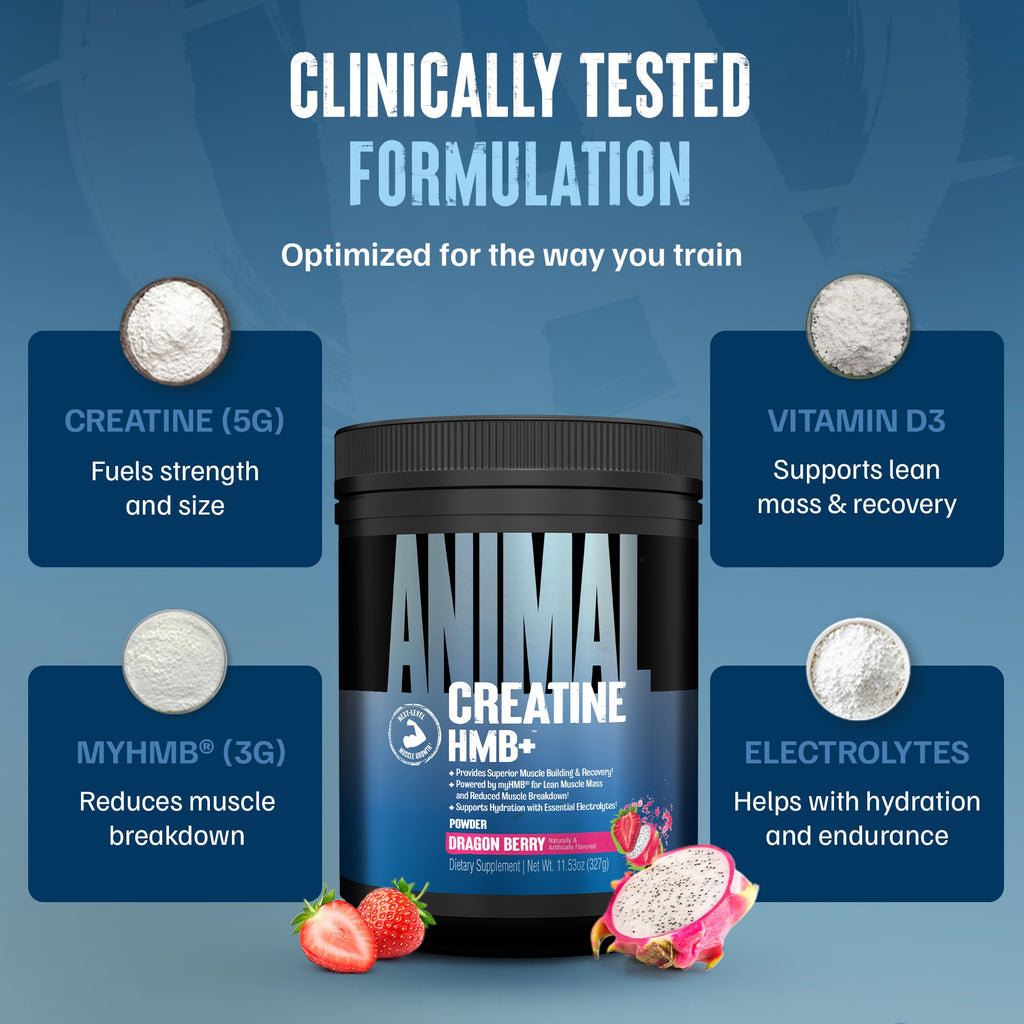 Animal Creatine HMB Powder – 3g myHMB + 5g Creatine with Electrolytes for Recovery & Daily Energy – Dragon Berry Flavor, 30 Servings