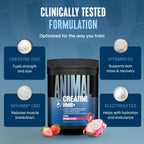 Animal Creatine HMB Powder – 3g myHMB + 5g Creatine with Electrolytes for Recovery & Daily Energy – Dragon Berry Flavor, 30 Servings