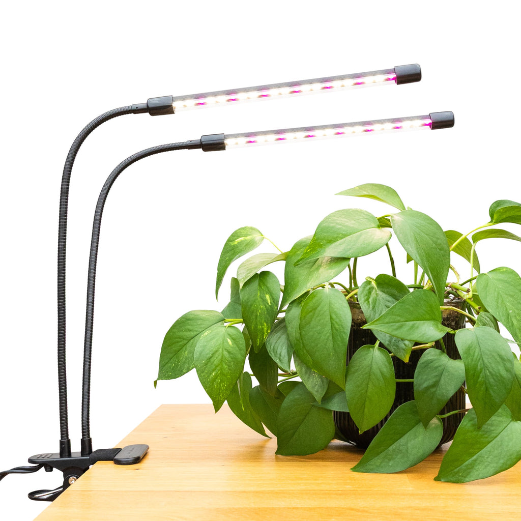 Miracle-Gro, Grow Light for Indoor Plants - 10W LED, Flexible 2-Head, Selectable Spectrum for Indoor Plants, Seeds, Herbs, Flowers, Plug-in Anywhere for Any Plant