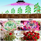 Loscarol Solar Grow Light, Full Spectrum Plant Light with Timer & Remote