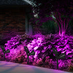 T-SUN Purple Solar Spot Lights Outdoor, Solar Black Lights Outdoor,2 Pack