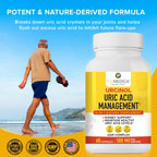 PurMEDICA Urcinol Uric Acid Supplement for Joint Support - 60ct (Pack of 1) - Uric Acid Support Formula with Turmeric Root, Acai, Banaba Leaf, Celery Seed, Yucca Stalk