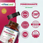 FineLand Pomegranate Extract 20:1, 40% Ellagic Acid Standardized, Antioxidant Supplement for Cellular & DNA Health, 120 Veg Capsules, 4-Month Supply
