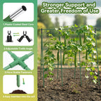 2 Pack Cucumber Trellis, 49.6"×49.6" Garden Trellis for Climbing Plants Outdoor, A-Frame Vegetable Trellis for Raised Bed, Support for Tomatoes, Squash, Zucchini, Vegetables