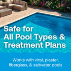 HTH 87322 Phosphate Remover Swimming Pool Chemical, 1 qt