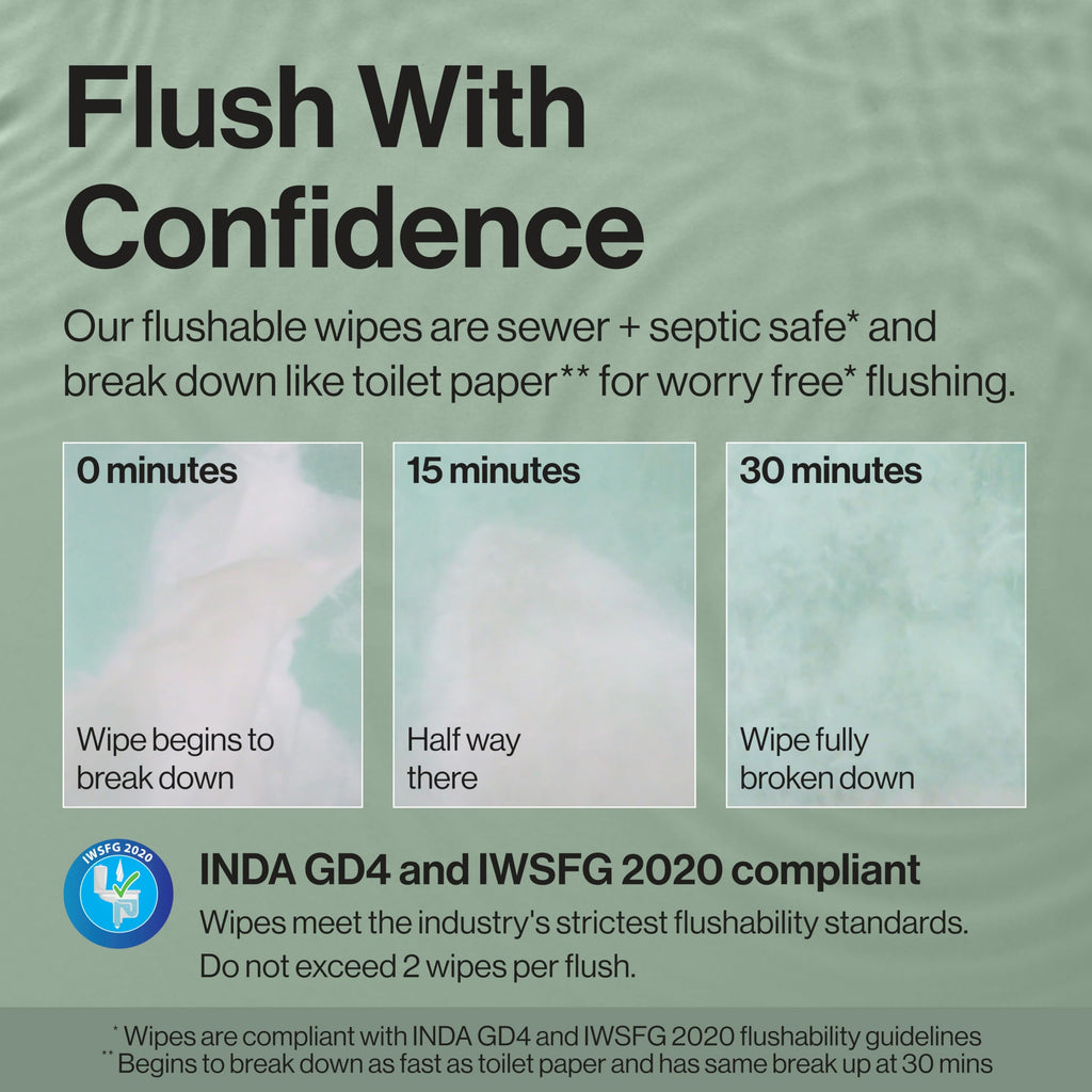 The Honest Company Flushable Wipes for Sensitive Skin, Hypoallergenic, Fragrance-Free, Gilded Wings Design, 126 Count