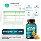 Premium Sea Moss with Ashwagandha, Burdock Bladderwrack, Black Seed for Immune System, Skin, Digestion & Energy (150 Count (Pack of 1))