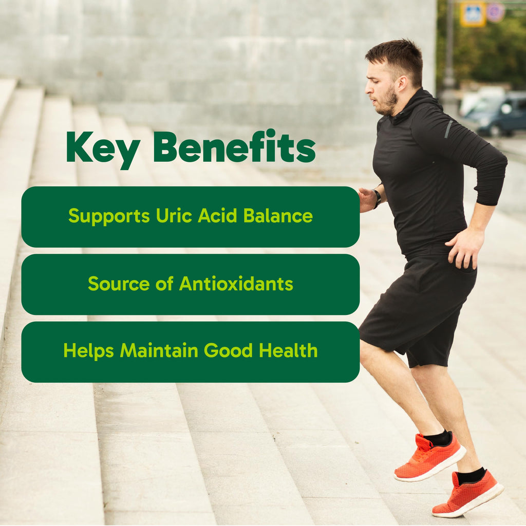 Organika Goutrin Uric Acid Flush for Gout (120 Caps): Gentle Gout Support with Cherry, Thyme, Celery Seed, Peppermint, & VIT C: Clean & Vegan Gout Supplements for Men & Women - Metabolism & Mobility