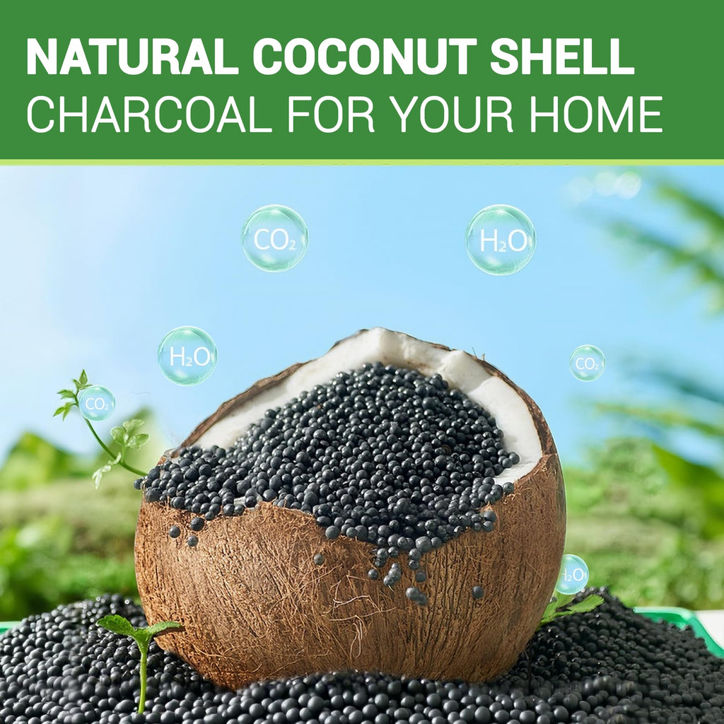 ORIX Refrigerator Deodorizer 10 Pack — Activated Charcoal Odor Absorber