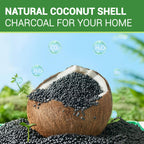 ORIX Refrigerator Deodorizer 10 Pack — Activated Charcoal Odor Absorber