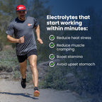SaltStick Electrolyte FastChews - 90 Count Sunshine Variety Pack of Resealable Chewable Electrolyte Tablets for Hydration, Salt Tabs