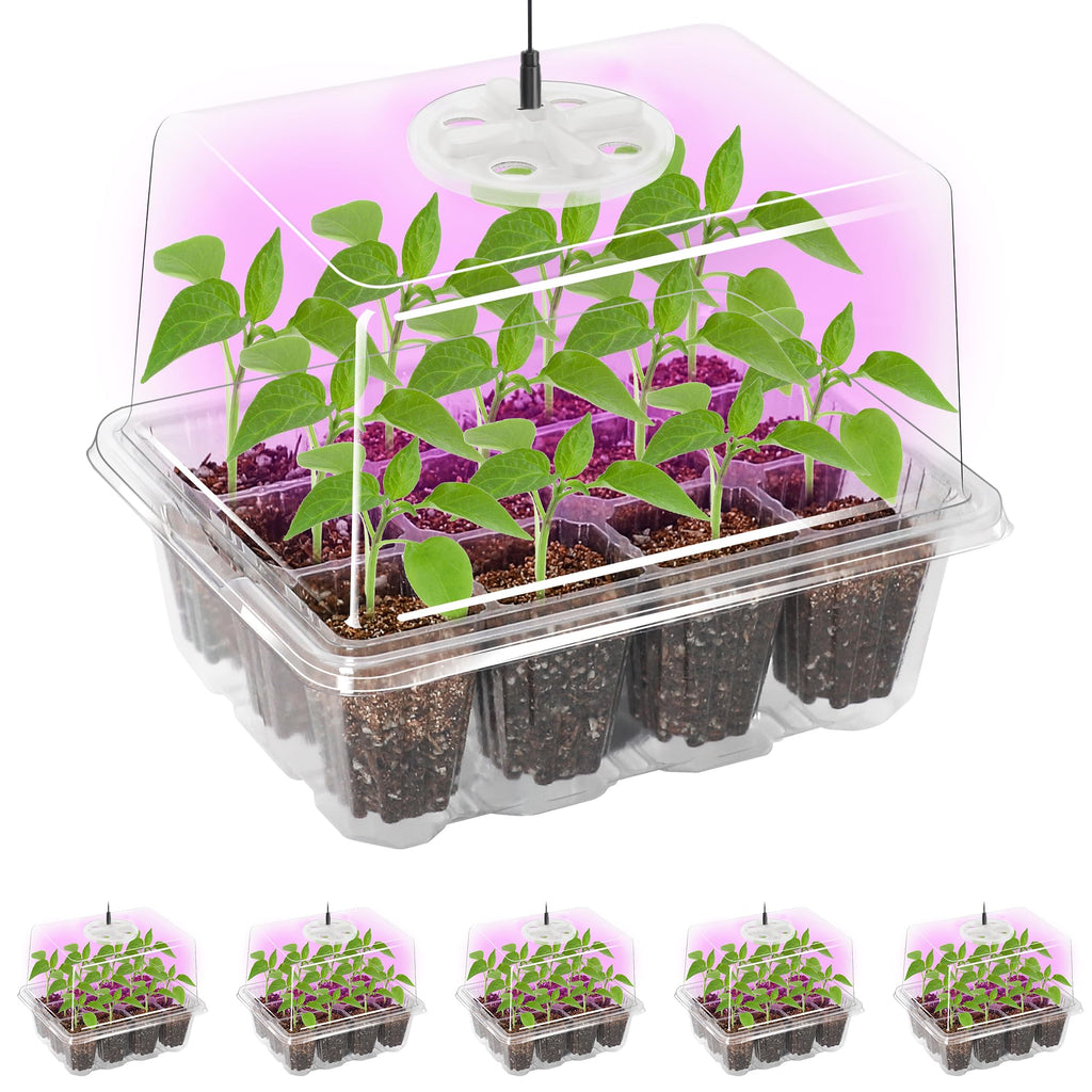 Bonviee Seed Starter Trays with 12-LED Grow Lights, Clear, 5 Pack