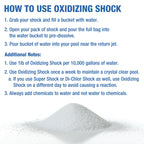 Doheny's Chlorine-Free Oxidizing Shock | Fast-Dissolving | Removes Chloramines & Boosts Free Chlorine | Safe to Swim 15 Minutes After Application | 12 x 1lb Bags (12lb Total)