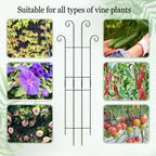 3 Set Tall Trellis for Potted Plants Indoor, 32'' Expandable Garden Metal Trellis for Climbing Plants Outdoor, Monstera Plant Support for Hoya, Vine, Ivy Pothos (Black)