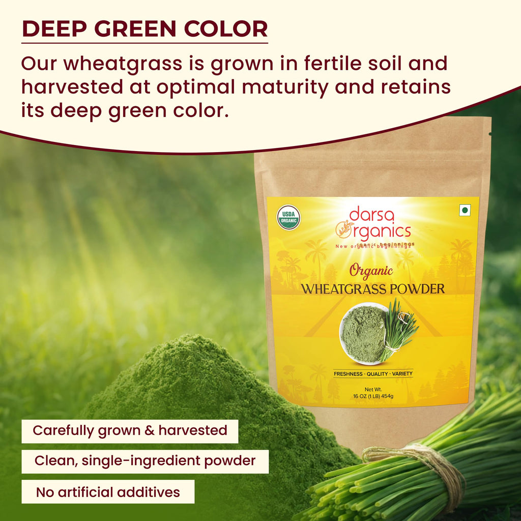 Darsa Organics Wheatgrass Powder 1 lb - Premium USDA Organic Wheat Grass, Fine-Milled Green Powder for Smooth Mixing - Non-GMO, Vegan, and Gluten-Free, Fresh-Sealed Resealable Pouch