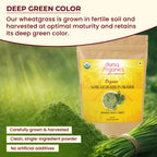 Darsa Organics Wheatgrass Powder 1 lb - Premium USDA Organic Wheat Grass, Fine-Milled Green Powder for Smooth Mixing - Non-GMO, Vegan, and Gluten-Free, Fresh-Sealed Resealable Pouch