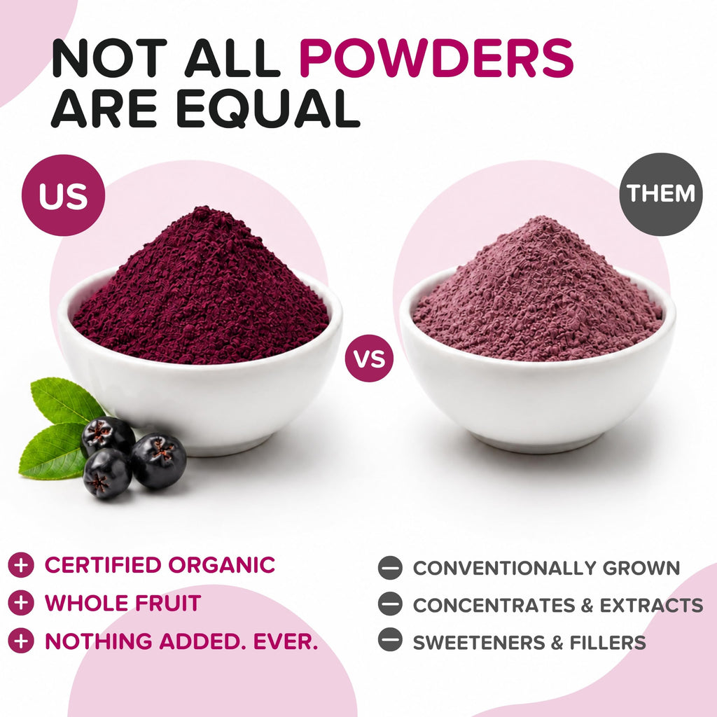 Natural Aronia Berry Powder - Black Chokeberry Superfood High in Anthocyanins & Polyphenols - Supports Immune System - Raw Chokeberries Superfood - Aronia Berries - Vegan, Gluten-Free - 1lb