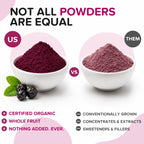 Natural Aronia Berry Powder - Black Chokeberry Superfood High in Anthocyanins & Polyphenols - Supports Immune System - Raw Chokeberries Superfood - Aronia Berries - Vegan, Gluten-Free - 1lb