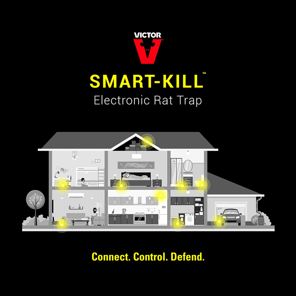 Victor M2-2P M2 Smart-Kill Wi-Fi Electronic Rat Trap-2 Pack, Black