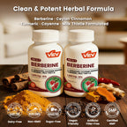 VEV Berberine Supplement with Ceylon Cinnamon for Daily Wellness Support– 2 Bottles (240 Capsules Total)