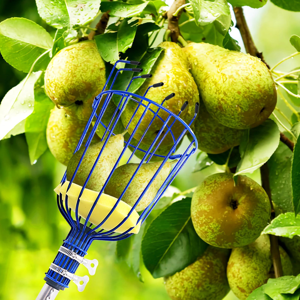 RAIN SPIRIT Fruit Picker Pole tool with Basket, 6FT Telescoping extension fruit picking rod for Apples Mango Orange Pear Tree Picker, nut picking with Adjustable stainless steel rod