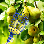 RAIN SPIRIT Fruit Picker Pole tool with Basket, 6FT Telescoping extension fruit picking rod for Apples Mango Orange Pear Tree Picker, nut picking with Adjustable stainless steel rod