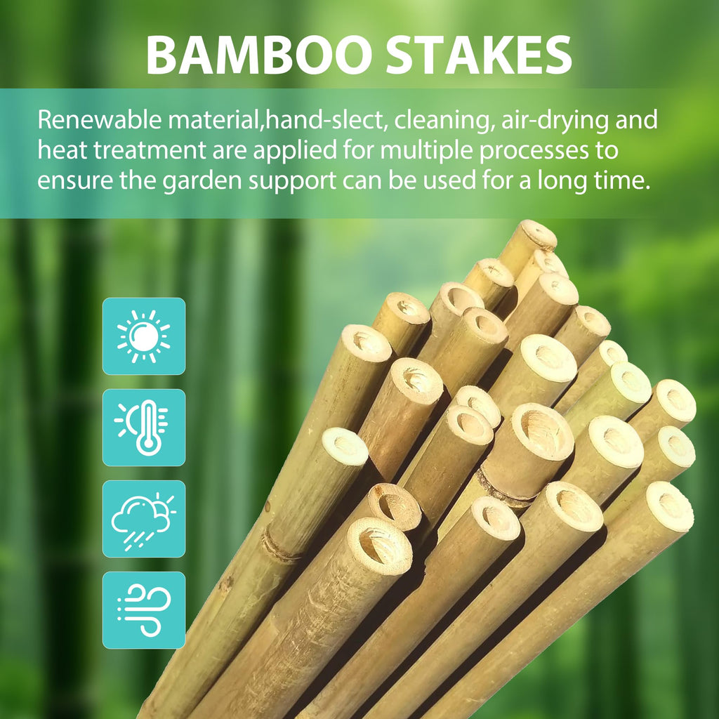 Latuxe Bamboo Stakes 6FT, 20pcs Garden Stakes 72in Specifically Designed for Climbing Plants, Ideal for Tomatoes, Beans, Cucumbers, Peppers, Vines, and More Plant Growth