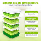 Sprouting Trays - 4-Tier Seed Sprouter with Drain Spout