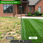Tegarbed Lawn Leveling Rake 30x10 inch - Professional Ground Leveler for Soil & Sand, 6.5FT Ergonomic Long Handle Landscape Rake for Garden, Backyard, Top Dressing , Black
