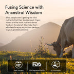 Beef Organ Supplement | 9-Organ Complex from Grass-Fed New Zealand Cattle | Whole-Food Multivitamin Alternative for Energy, Digestion, Immune & Brain Support | 30 Day Supply