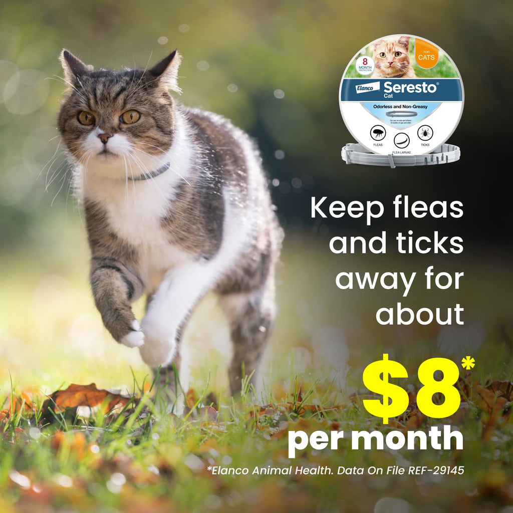 Seresto Cat Vet-Recommended Flea & Tick Treatment & Prevention Collar for Cats | 8 Months Protection