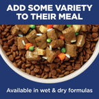 Hill's Science Diet Senior 11+ Small & Mini Dry Dog Food