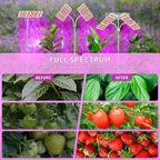 KINGPLUS 48W Grow Light for Indoor Plants with Stand, Tri-Head Plant Light