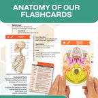 TribeRN Anatomy and Physiology Flash Cards – 320 Study Resources for Students – Human Anatomy & Physiology Study Tools – Medical, Nursing School Essentials – Durable & Easy to Use Flashcards