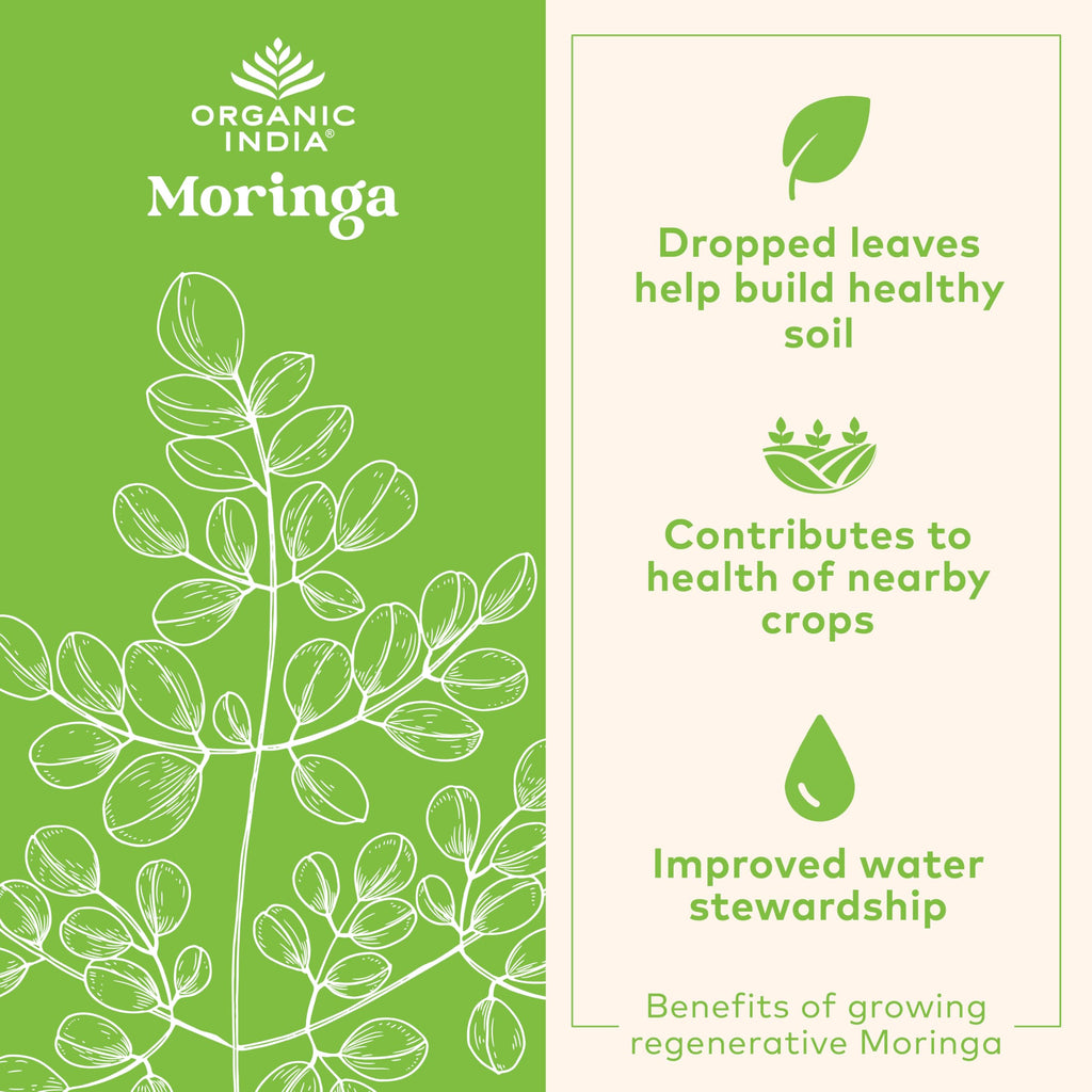 ORGANIC INDIA Moringa Capsules Organic - Moringa Supplement - Green Superfood, Pure Supergreen, Vegan Greens, Nature's Multivitamin, Vegan, Gluten-Free - 180 Capsules